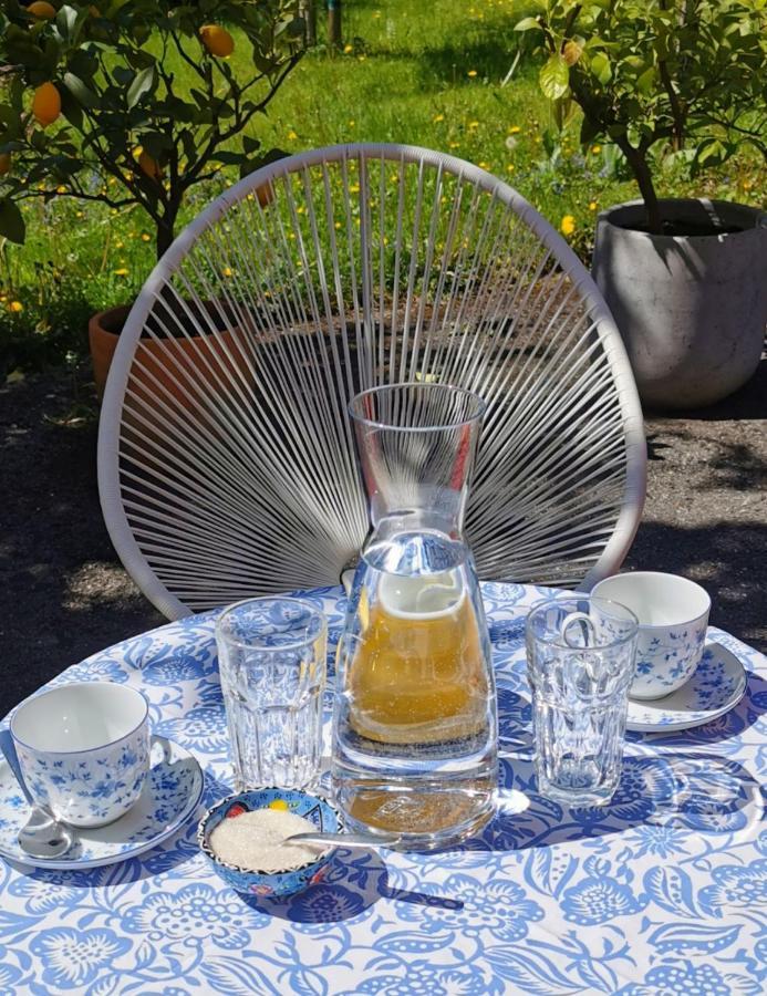 Villa Rosen - Ferienwohnungen Bad Reichenhall Esterno foto