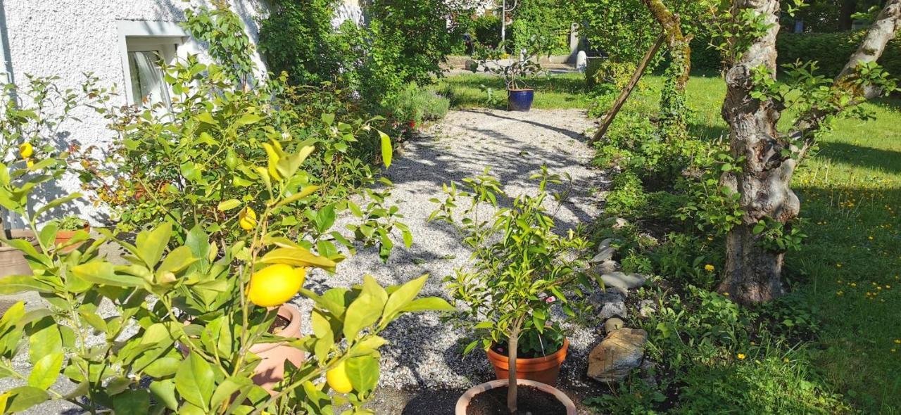 Villa Rosen - Ferienwohnungen Bad Reichenhall Esterno foto