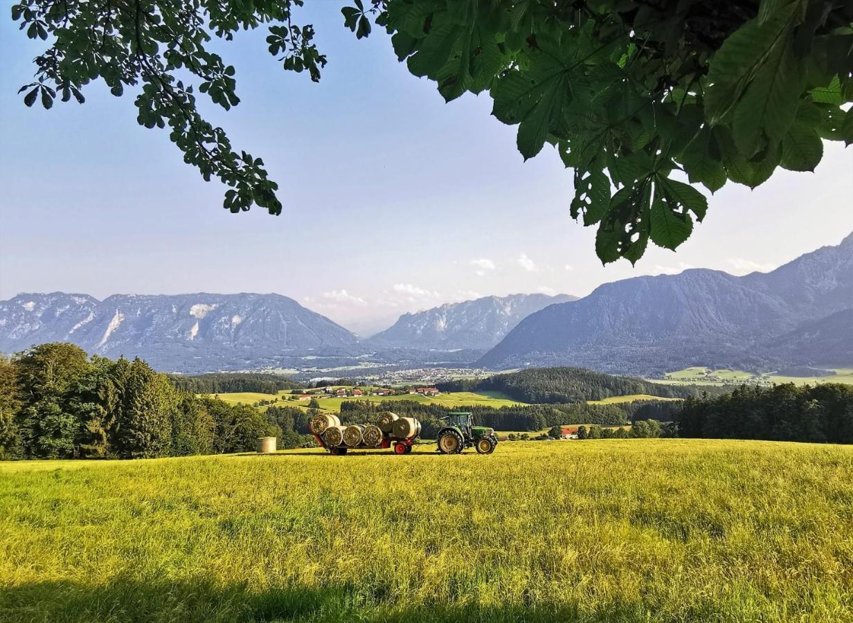 Villa Rosen - Ferienwohnungen Bad Reichenhall Esterno foto