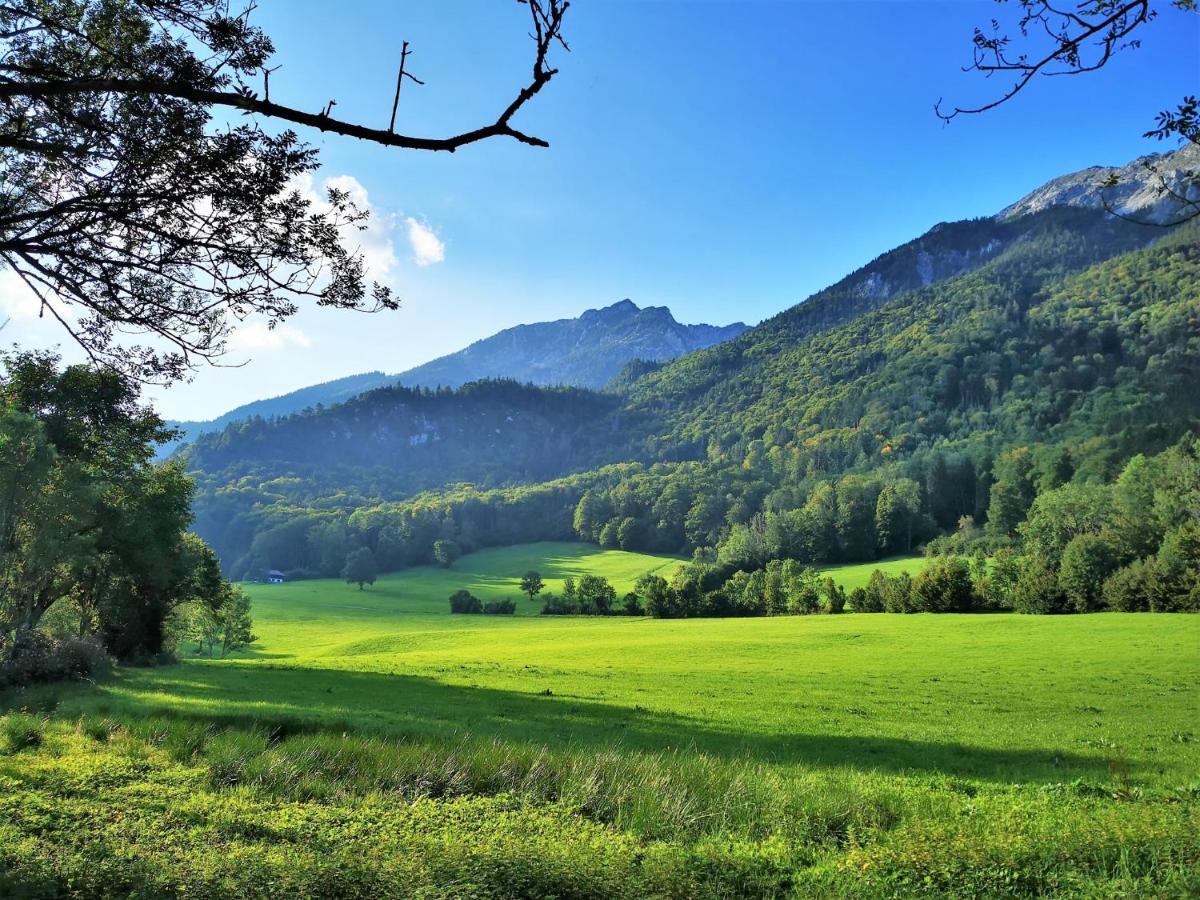 Villa Rosen - Ferienwohnungen Bad Reichenhall Esterno foto